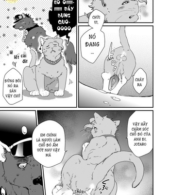 [Yukishige] Meshimase Neko Kan – JoJo’s Bizarre Adventure dj [Vi] – Gay Manga sex 22