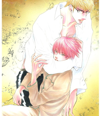 Wild Card – Shiuko Kano Character Book – Gay Manga sex 49
