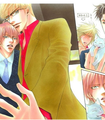 Wild Card – Shiuko Kano Character Book – Gay Manga sex 51
