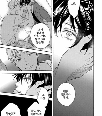 [RAKUTA Shoko] Tadareta Koi ni wa Itashimasen! [Kr] – Gay Manga sex 94