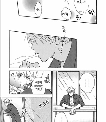 [RAKUTA Shoko] Tadareta Koi ni wa Itashimasen! [Kr] – Gay Manga sex 184