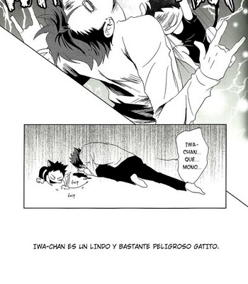 [Ichinose Yuma] Iwa-chan Datte Neko Dearu – Haikyuu!! dj [Spanish] – Gay Manga sex 4