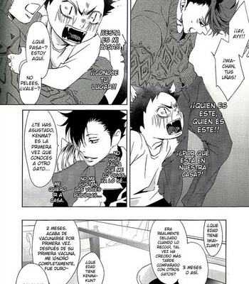 [Ichinose Yuma] Iwa-chan Datte Neko Dearu – Haikyuu!! dj [Spanish] – Gay Manga sex 9