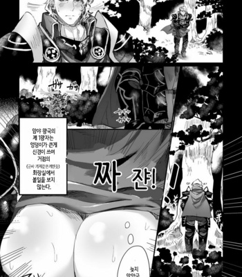 [Ichigo Wadachi (Iwanasho)] Inkou Oukoku ~Sex Kingdom~ Fire Emblem if dj [kr] – Gay Manga sex 21