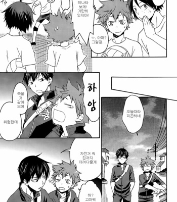 [Q-be (Souji)] Haikyuu!! dj – Sunsets and Lies and Tamagoyaki [kr] – Gay Manga sex 7