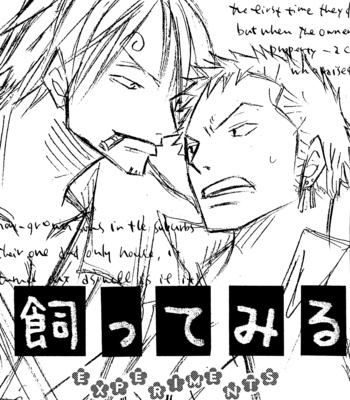 [Saruya Hachi] One Piece dj – Experiments on His Property [Eng] – Gay Manga sex 4