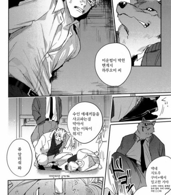 [Matsumoto Yoh] Sense of loyalty [kr] – Gay Manga sex 2