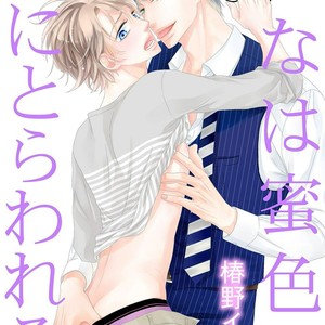 [TSUBAKINO Imeri] Hina wa Mitsuiro no Koi ni Torawareru [Eng] – Gay Manga sex 6