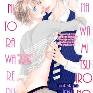 [TSUBAKINO Imeri] Hina wa Mitsuiro no Koi ni Torawareru [Eng] – Gay Manga sex 258