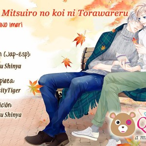 [TSUBAKINO Imeri] Hina wa Mitsuiro no Koi ni Torawareru [Eng] – Gay Manga sex 295