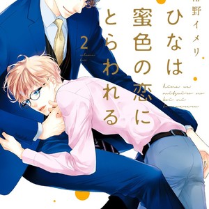 [TSUBAKINO Imeri] Hina wa Mitsuiro no Koi ni Torawareru [Eng] – Gay Manga sex 299