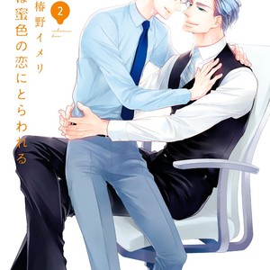 [TSUBAKINO Imeri] Hina wa Mitsuiro no Koi ni Torawareru [Eng] – Gay Manga sex 300