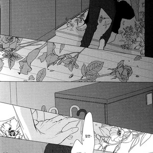 [SATO Tsubame] Evergreen Days [kr] – Gay Manga sex 155