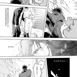 [Happy Yaku] Shirouto Yankee Kikiippatsu!! [kr] – Gay Manga sex 123