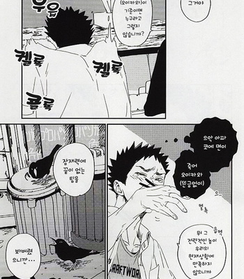 [CHOCOLATE HOKKE (HOKKE)] Yasei, Senri wo Kakeru – Haikyuu!! dj [kr] – Gay Manga sex 22