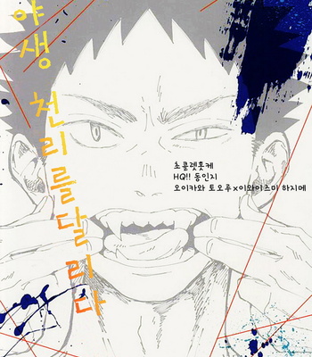 [CHOCOLATE HOKKE (HOKKE)] Yasei, Senri wo Kakeru – Haikyuu!! dj [kr] – Gay Manga sex 55