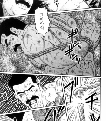 [Gengoroh Tagame] Shirogane no Hana v.02 [kr] – Gay Manga sex 121