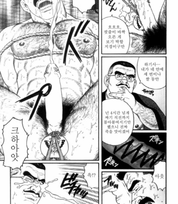 [Gengoroh Tagame] Shirogane no Hana v.02 [kr] – Gay Manga sex 241