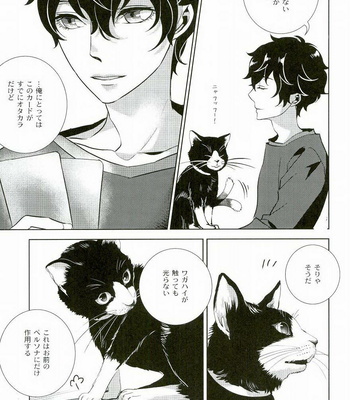 [AUH (soie)] Blank Card no Omote Ura – Persona 5 dj [JP] – Gay Manga sex 4