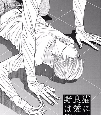 [KAJIMOTO Jun] Noraneko wa Ai o Shiranai [JP] – Gay Manga sex 117
