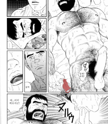 [Tagame Gengoroh] Yami no Naka no Shamo | The Gamefowl Enveloped in Despair [kr] – Gay Manga sex 12