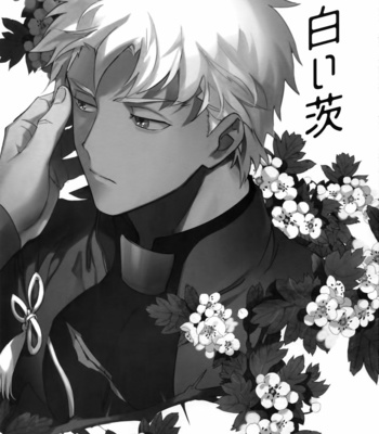 [Yoke (Emya)] Shiroi Ibara – Fate/ Grand Order dj [KR] – Gay Manga sex 2