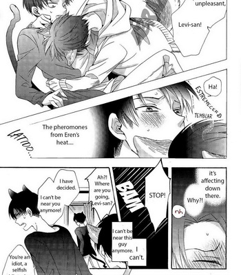 [IS.g/ Kimi Ichinashi] Shingeki no Kyojin dj – Wannyan Ereri! 4 [Eng] – Gay Manga sex 10