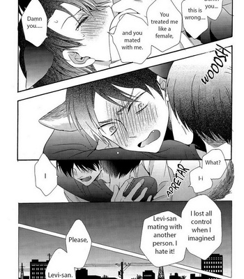 [IS.g/ Kimi Ichinashi] Shingeki no Kyojin dj – Wannyan Ereri! 4 [Eng] – Gay Manga sex 21