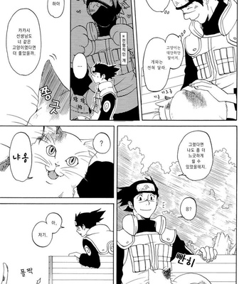 [Chikadoh/ Halco] Naruto dj – Neko ni Nare! [kr] – Gay Manga sex 15
