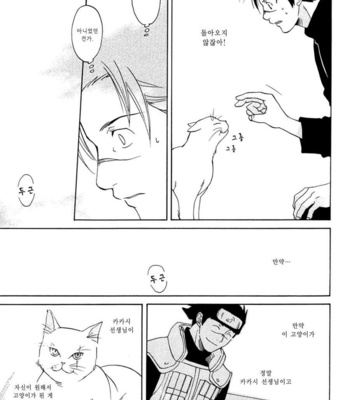 [Chikadoh/ Halco] Naruto dj – Neko ni Nare! [kr] – Gay Manga sex 35
