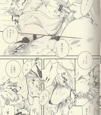 [Hallucigenia (Kamidou Haruki)] Komorebi – Gingitsune dj [JP] – Gay Manga sex 12