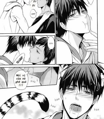 [sweetberry (Hoshino Rumia)] Ore no Kagami ga Konna ni Kawaii Wake ga Nai – Kuroko no Basuke dj [vi] – Gay Manga sex 16