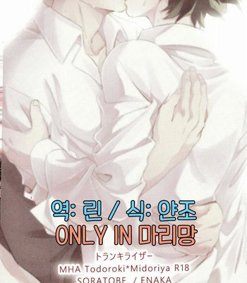 [Soratobe. (Enaka)] Tranquilizer – My Hero Academia dj [kr] – Gay Manga sex 40