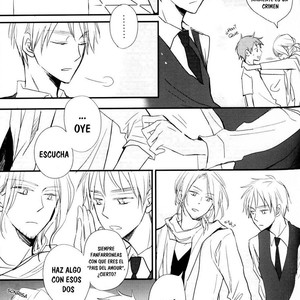 [Love Potion No.9 (ICHINOMIYA Shihan)] Hetalia dj – Honey? [Esp] – Gay Manga sex 8