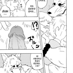 [Bear Tail (Chobi)] Shinshi 1 – Gingitsune dj [kr] – Gay Manga sex 9
