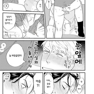 [Niyama] Goriyou wa keikakutekini (update c.4) [kr] – Gay Manga sex 139