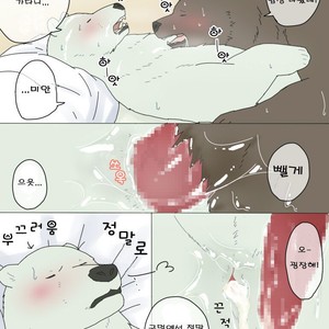 [Otousan (Otou)] Polar Bear and Grizzly Just Have Sex – Shirokuma Cafe dj [kr] – Gay Manga sex 15