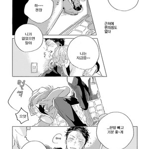 [Amamiya] Koi da Ai da wa Sateoite [kr] – Gay Manga sex 5