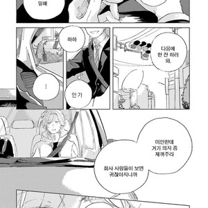 [Amamiya] Koi da Ai da wa Sateoite [kr] – Gay Manga sex 11
