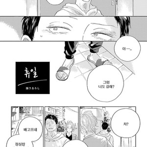 [Amamiya] Koi da Ai da wa Sateoite [kr] – Gay Manga sex 132
