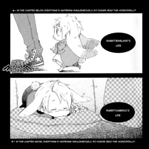 [Agp (KURIHARA Aoi)] Hetalia dj – Usabon [Eng] – Gay Manga sex 13