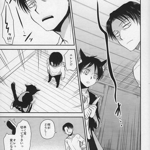 [Sonikku (PANA)] Shinpei-kun ga neko ni narimashite – Attack on Titan dj [JP] – Gay Manga sex 20