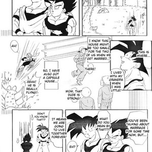 [Kotoh-R] Satisfactions – Dragon Ball dj [Eng] – Gay Manga sex 6