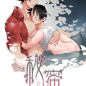 [S+y (Yumiya)] Himitsu – One Piece dj [kr] – Gay Manga sex 2