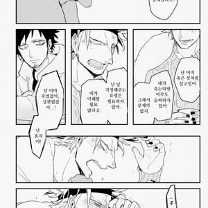 [Ironys (LAS)] One Piece dj – Wandering Bird [kr] – Gay Manga sex 15