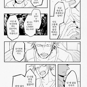 [Ironys (LAS)] One Piece dj – Wandering Bird [kr] – Gay Manga sex 26