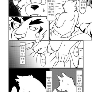 [Tobenaitori (Kijimaru, Kotori)] heat [kr] – Gay Manga sex 18