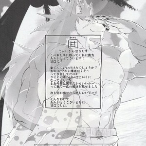 [Sweet Taste (Amakuchi)] Shining F – Shining Wind dj [kr] – Gay Manga sex 25