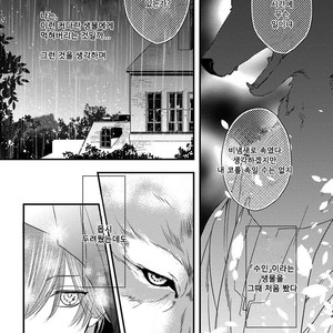 [HASUMI Hana] Pendulum: Kemonohito Omegaverse [kr] – Gay Manga sex 10