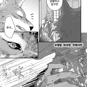 [HASUMI Hana] Pendulum: Kemonohito Omegaverse [kr] – Gay Manga sex 108